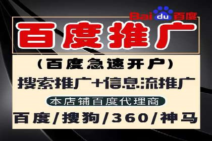 谷歌竞价广告的关键词选择与优化案例